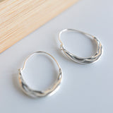 Steel Earrings