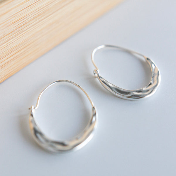 Steel Earrings