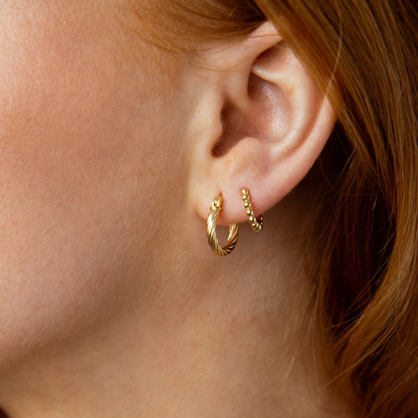Marina gold Earrings 