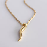 Horn necklace