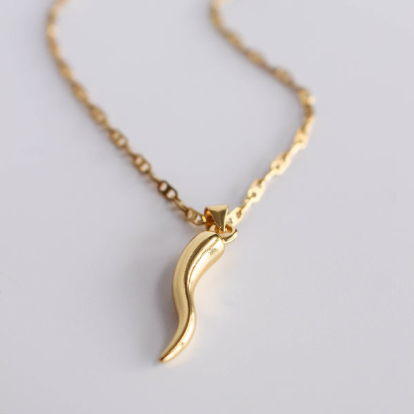 Horn necklace