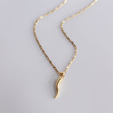 Horn necklace