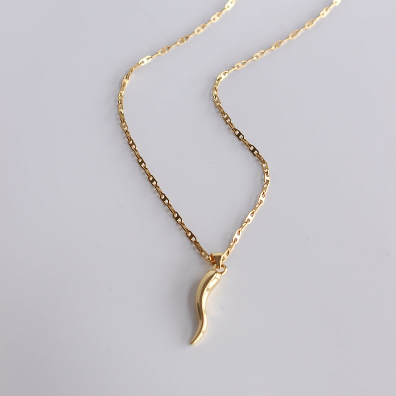 Horn necklace